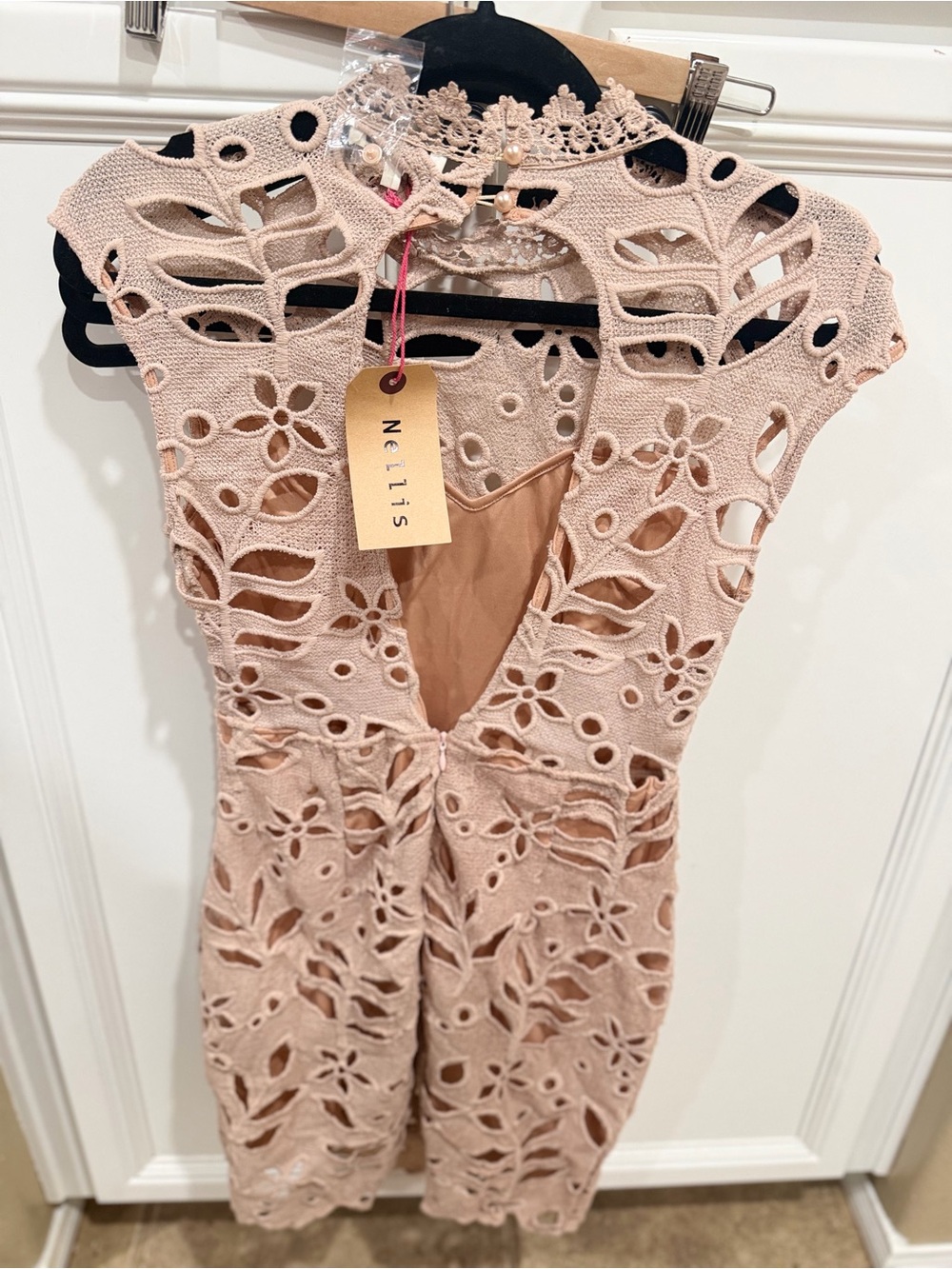 Sleeveless Blush Lace Cutout Mini Dress - Picture 4 of 5